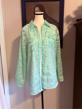 Tanjay See=-hrough Lime Green Button-down shirt, women, size L